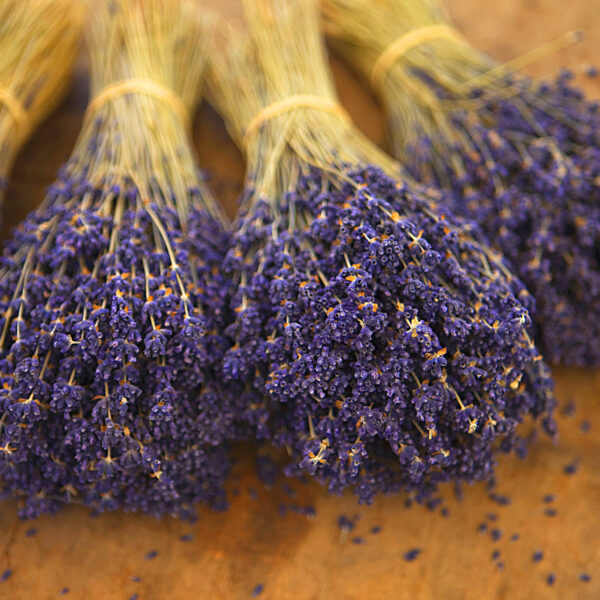turkey-lavender-hekiminciftligi.com-gallery02